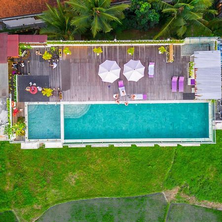 The Evitel Resort Ubud Kültér fotó