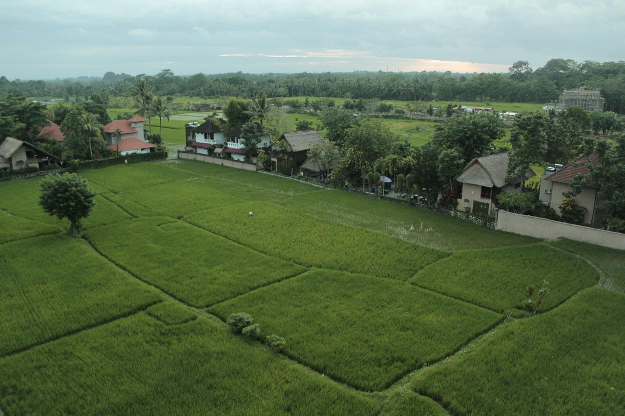 The Evitel Resort Ubud Kültér fotó